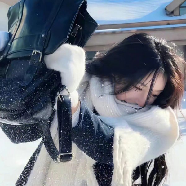婉丽